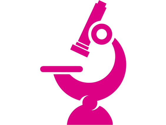 Digital Pathology image