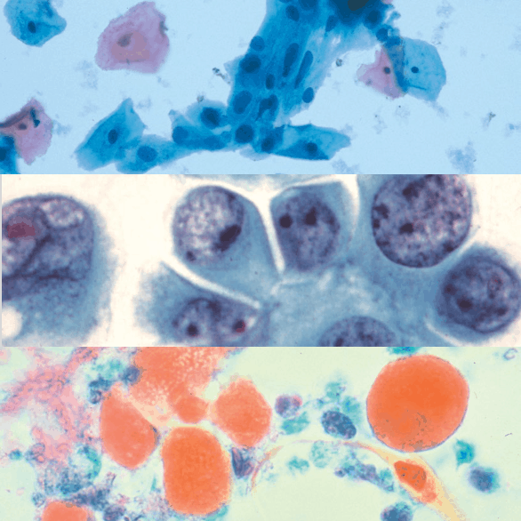 Cytology Stains Solutions