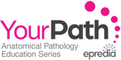 YourPath Anitomical Pathology Education Series from Epredia